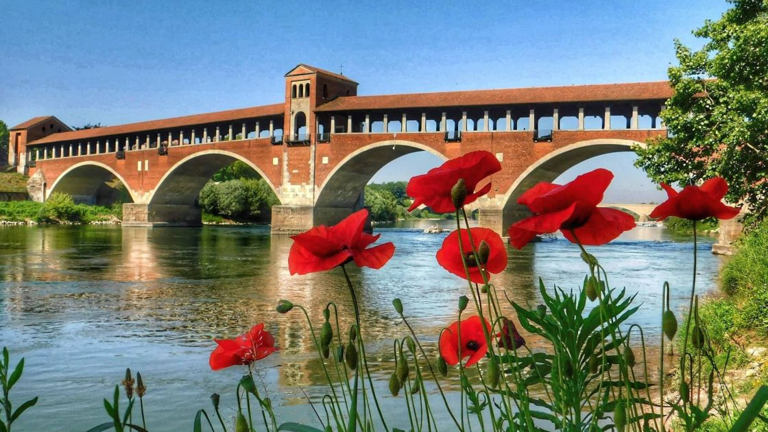 Pavia - Via Francigena