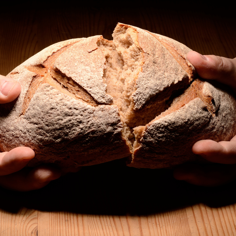 Il Cammino del Pane: quando un alimento diventa una rotta tra regioni e comunità